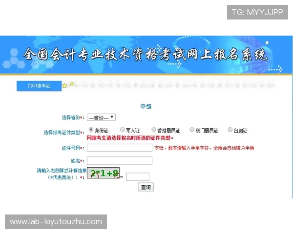 乐鱼平台网页版登录流程详解，解决常见登录问题确保顺畅进入游戏环境